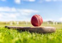 cricket-1